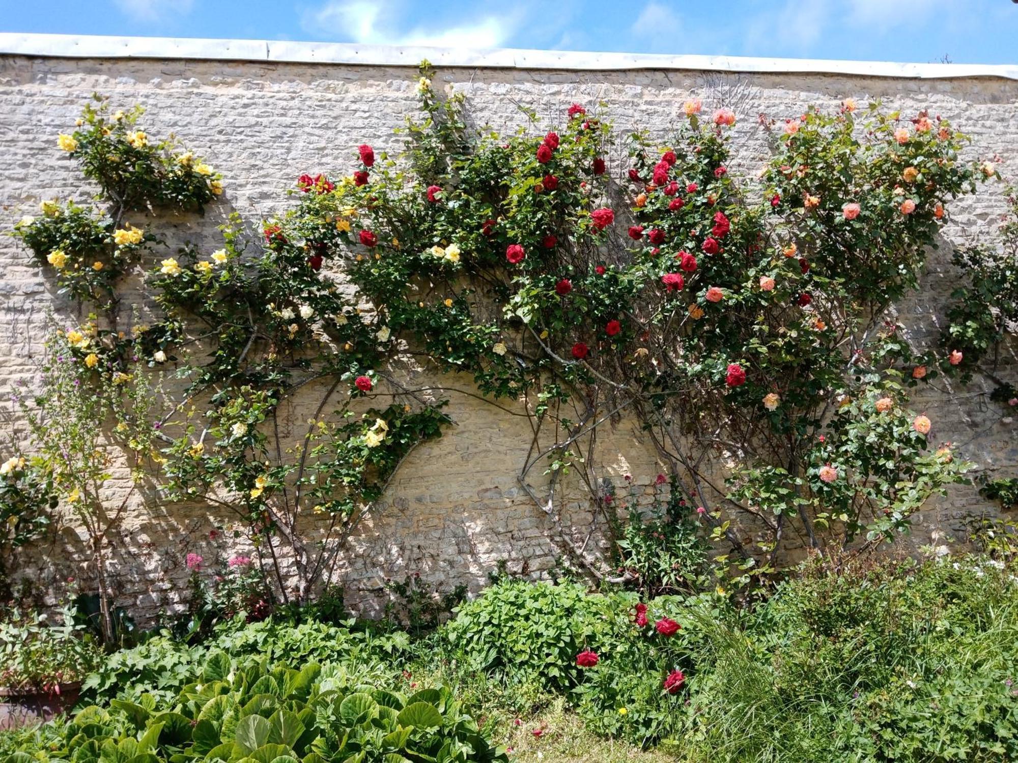 Bed and Breakfast Rose Garden Байо Екстер'єр фото