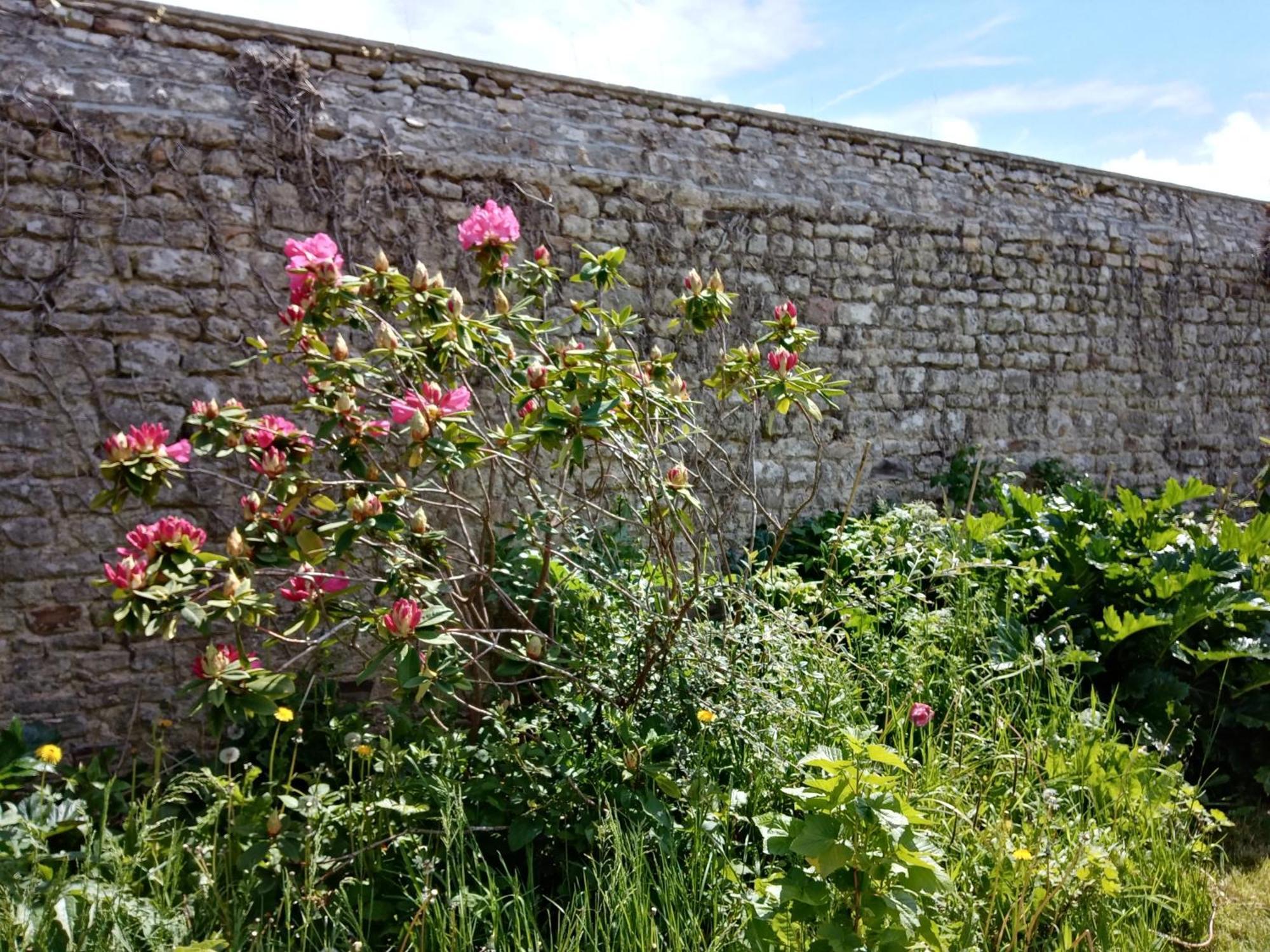 Bed and Breakfast Rose Garden Байо Екстер'єр фото